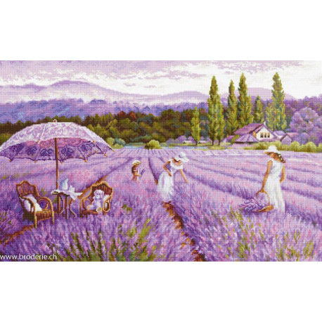 Luca-S, kit Lavender field (LUCASBU5008)