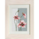 Luca-S, kit Poppies (LUCAB2239)