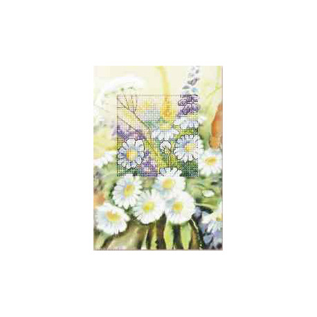 Orchidea, kit Carte de voeux Paquerettes (OR6211)