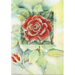 Orchidea, kit Carte de voeux Rose rouge (OR6228)