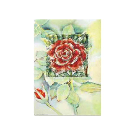 Orchidea, kit Carte de voeux Rose rouge (OR6228)