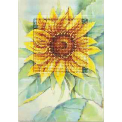 Orchidea, kit Carte de voeux Tournesol (OR6229)