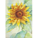 Orchidea, kit Carte de voeux Tournesol (OR6229)