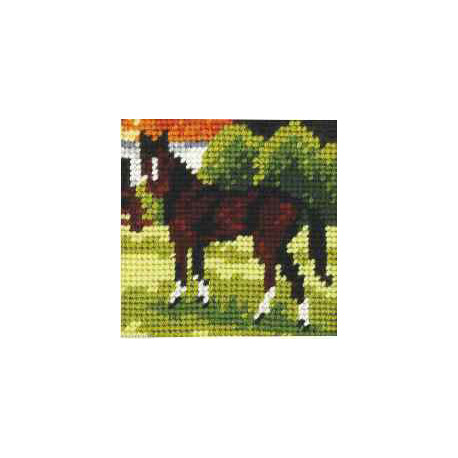 Orchidea, kit enfant Cheval (OR9610)