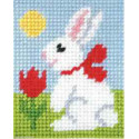 Orchidea, kit enfant Lapin (OR9703)