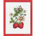 Permin, kit fraisiers (PE92-9164)
