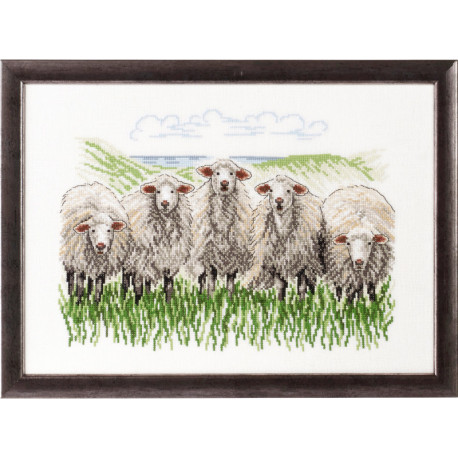 Permin, kit Moutons au pré (PE70-7433)