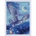 Riolis, kit diamant Magic Owl (RIAM0041)