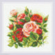 Riolis, kit diamant Roses (RIAM0061)