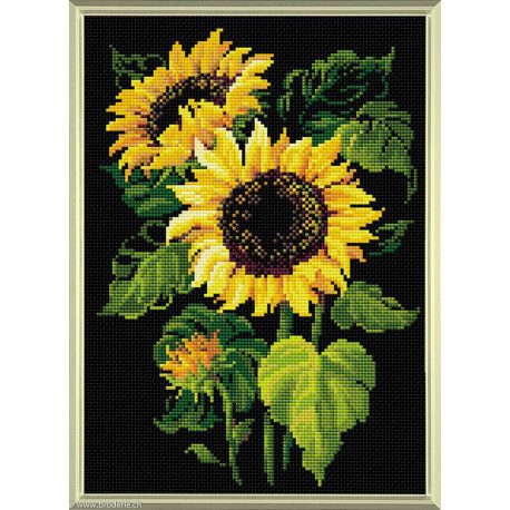Riolis, kit diamant Sunflowers (RIAM0006)