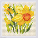 Riolis, kit diamant Yyellow Narcissus (RIAM0032)