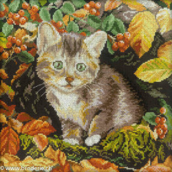 RTO, kit Autumn Kitten (RTOM271)
