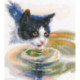 RTO, kit Cat and water (RTOM825)
