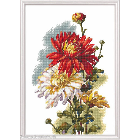RTO, kit Chysanthemum rouge (RTOM516)