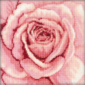 RTO, kit coeur de rose rose (RTOC070)