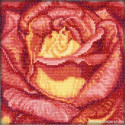 RTO, kit coeur de rose rouge jaune (RTOC069)