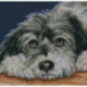 RTO, kit Dog Melancholly (RTOM413)