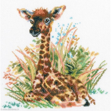 RTO, kit Little girafe (RTOM682)