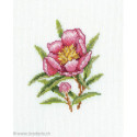 RTO, kit Oleander Flower (RTOC183)