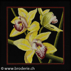 RTO, kit Orchids Cymbidium (RTOM264)