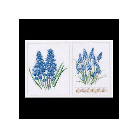 Thea Gouverneur, kit Muscari (G0443)