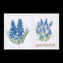 Thea Gouverneur, kit Muscari (G0443)