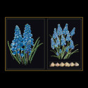 Thea Gouverneur, kit Muscari (G0443.05)