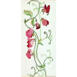 Thea Gouverneur, kit Pois de senteurs roses (G0809)