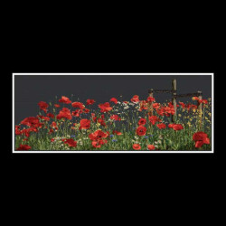 Thea Gouverneur, kit Poppies (G0546.05)