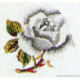 Thea Gouverneur, kit rose blanche (G0820)