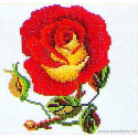 Thea Gouverneur, kit rose jaune rouge (G0818)
