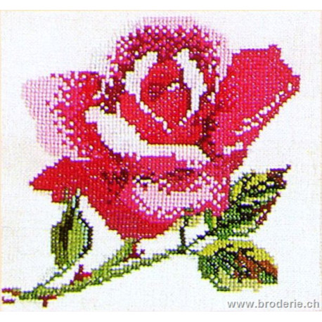 Thea Gouverneur, kit rose rose (G0819)