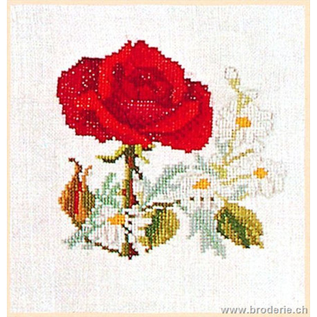 Thea Gouverneur, kit Rose rouge et marguerites (G0902)