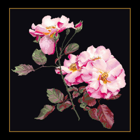 Thea Gouverneur, kit roses (G0412.05)