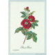 Thea Gouverneur, kit Roses (G2029)
