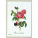 Thea Gouverneur, kit Roses (G2030)