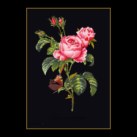 Thea Gouverneur, kit Roses (G2030.05)