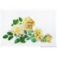Thea Gouverneur, kit Roses jaunes (G0429)