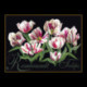 Thea Gouverneur, kit Tulipes Rembrandt (G0447.05)