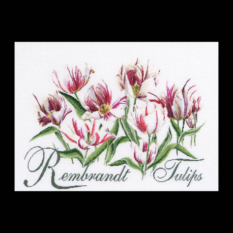 Thea Gouverneur, kit Tulipes Rembrandt (G0447)