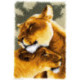 Vervaco, kit tapis L'amitié entre lions (PN0150913)