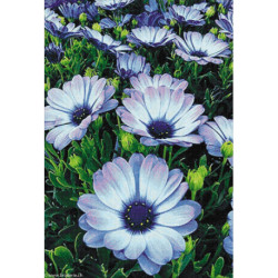 Wizardi, kit diamant Alpine Flowers (WIWD2394)