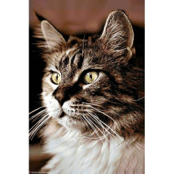 Wizardi, kit diamant Cat at Home (WIWD212)