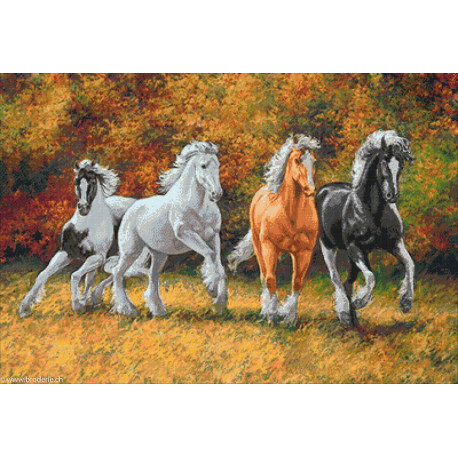 Wizardi, kit diamant chevaux au galop (WIWD2388)