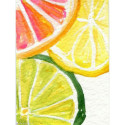 Wizardi, kit diamant Citrus Fresh (WIWD281)