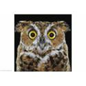 Wizardi, kit diamant Curious Owl (WIWD2380)