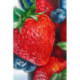 Wizardi, kit diamant Fresh Berries (WIWD050)