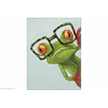 Wizardi, kit diamant Frog with Glasses (WIWD2362)
