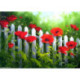 Wizardi, kit diamant Garden Poppies (WIWD008)