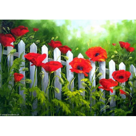 Wizardi, kit diamant Garden Poppies (WIWD008)